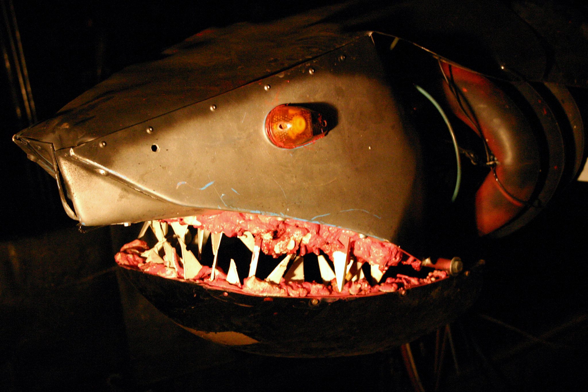 RC Shark